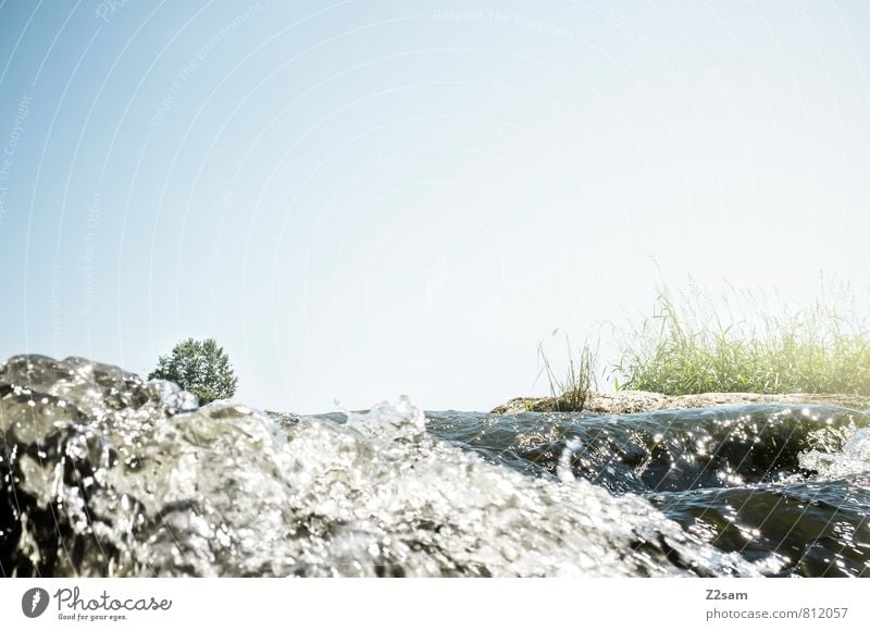 Erfrischung Umwelt Natur Landschaft Wasser Himmel Sonne Sommer Schönes Wetter Baum Sträucher Wiese Fluss fliegen ästhetisch Gesundheit Kitsch natürlich