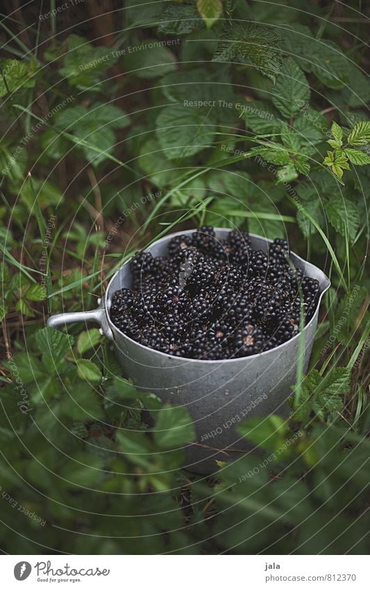 brombeeren Lebensmittel Frucht Brombeeren Ernährung Schalen & Schüsseln Topf Gesunde Ernährung Natur Pflanze Sträucher Grünpflanze Nutzpflanze Garten frisch