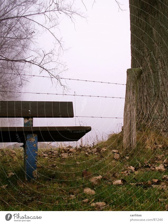 Deutsche Bank Weidezaun ruhig Erholung Sicherheit Zaun Stacheldraht Nebel Dezember Altersversorgung Freizeit & Hobby Winter ruhebank dorfverschönerungsverein