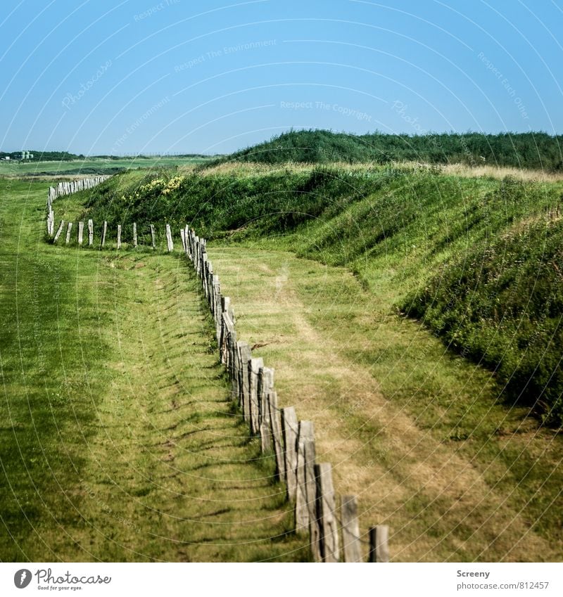 Umzäunt Ferien & Urlaub & Reisen Tourismus Ausflug Sommer Natur Landschaft Tier Himmel Wolkenloser Himmel Wiese Feld Insel Langeoog Deich Wachstum wandern blau