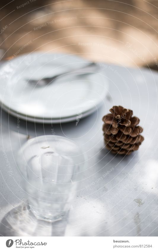 zapfen. Geschirr Teller Glas Gabel Häusliches Leben Garten Umwelt Natur Sonne Zapfen Park Dekoration & Verzierung Holz Erholung Essen glänzend weiß Stimmung