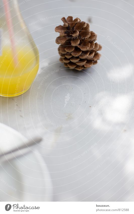 mit getränk. Ernährung Getränk Erfrischungsgetränk Limonade Geschirr Teller Glas Trinkhalm Gabel Häusliches Leben Sonne Sonnenlicht Schönes Wetter Zapfen Holz