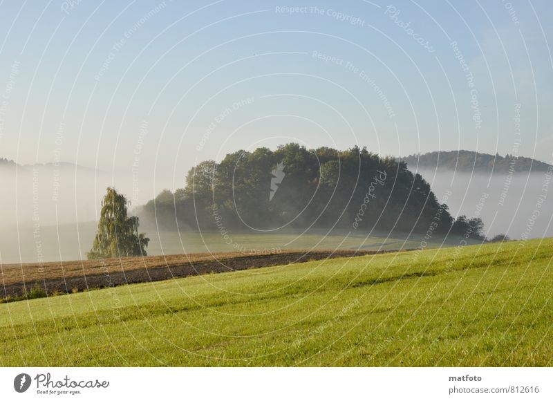 Spätsommer Natur Landschaft Wolkenloser Himmel Sonnenlicht Herbst Schönes Wetter Nebel Baum Sträucher Wiese Feld Wald Hügel Menschenleer blau grün schön ruhig