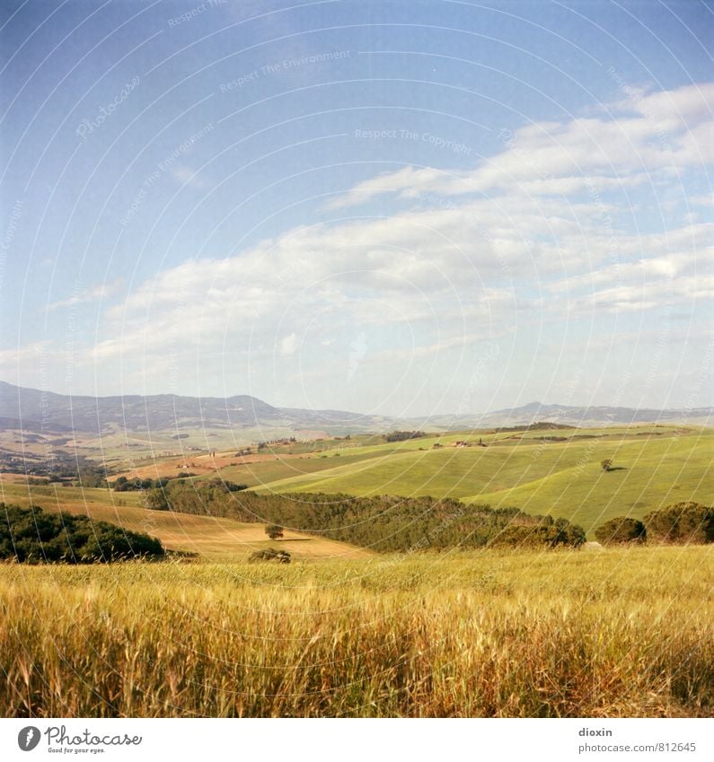 Tuszien Ferien & Urlaub & Reisen Tourismus Ausflug Ferne Sommer wandern Umwelt Natur Landschaft Himmel Wolken Schönes Wetter Feld Wald Hügel Toskana San Quirico