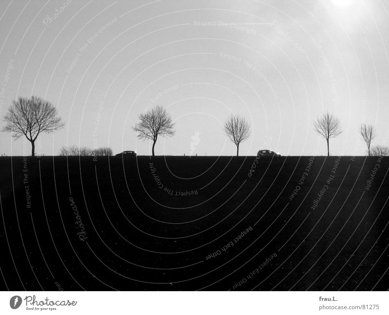 Landstraße Degersen Sonne Winter Baum Feld Dorf Verkehr Straße fahren Symmetrie Obstbaum Abwechselnd Provinz Silhouette Gegenlicht