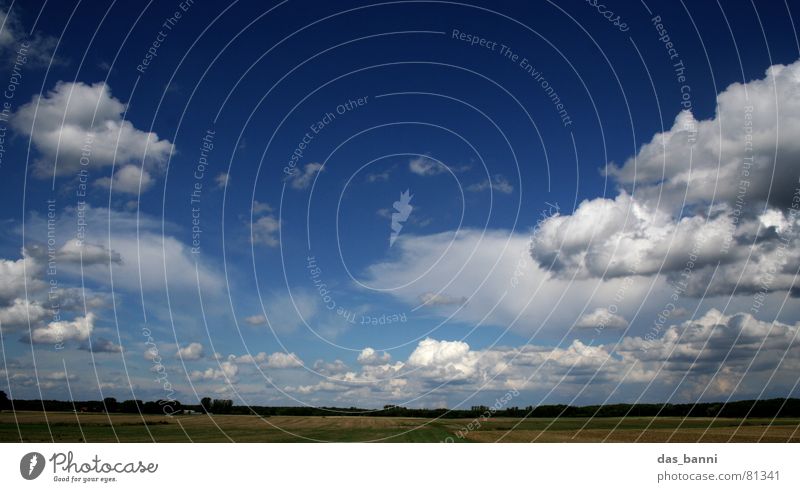 bis zum horizont und zurück Wolkenformation beruhigend Horizont Baum Feld Ferne gelb grün träumen Erholung Verlauf Sommer Ferien & Urlaub & Reisen Brandenburg