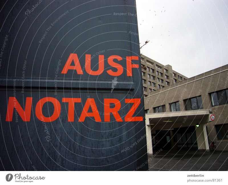 Ausf Notarz Notarzt Notfall Rettungsring Medizinmann Hospitalisierung Garage Krankenhaus Gesundheitswesen Notsituation Buchstaben Schriftzeichen Detailaufnahme