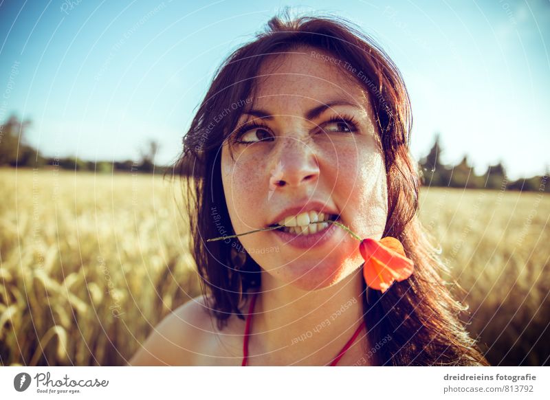 Im Kornfeld Mensch feminin Junge Frau Jugendliche Erwachsene 1 Himmel Wolkenloser Himmel Horizont Sommer Schönes Wetter Feld brünett langhaarig Blick frech