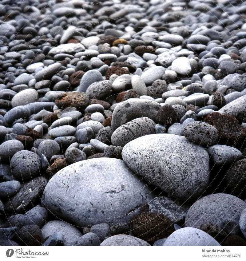 Steinstrand Strand rund ruhig Küste grau Meer mehrere Kreis Seeufer farbneutral Badestelle Gelassenheit an land viele Blick an der küste