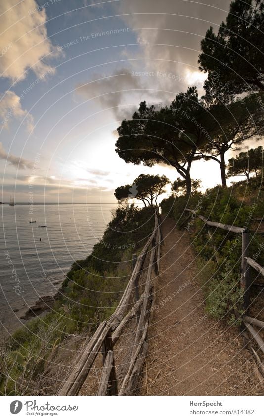 Weg zum Strand Ferien & Urlaub & Reisen Tourismus Sommerurlaub Meer Insel Umwelt Natur Landschaft Himmel Wolken Schönes Wetter Blume Mittelmeer Elba Italien