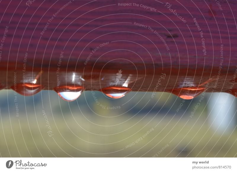 Regentropfen Natur Wasser Wassertropfen Frühling Holz glänzend leuchten Flüssigkeit nass rot Frühlingsgefühle Vergänglichkeit Zaun Balken Farbfoto Außenaufnahme