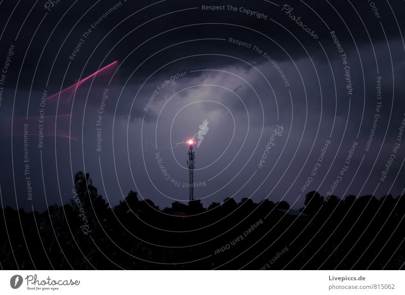 Blitz und Pink Telekommunikation Umwelt Natur Landschaft Himmel Wolken Gewitterwolken Nachthimmel Sommer schlechtes Wetter Unwetter Blitze Pflanze Baum Feld