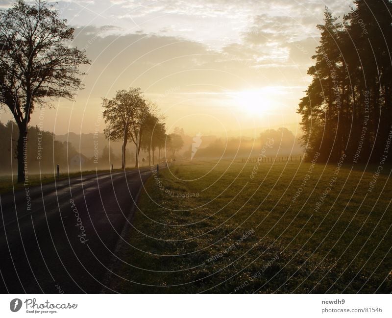 Sonnenaufgang kurz vor Franken Baum Weide Wiese Wald Wolken Straßenbelag Fernstraße Morgen Fahrbahn Gras Verkehrswege Alm Asphalt Hauptstraße Straßenverkehr