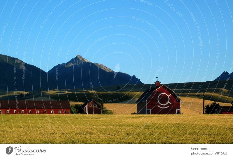 Idyllic Oregon II Hügel Wiese Gras grün rot Scheune USA Amerika Wallowa Mountains gelb Himmel ruhig Berge u. Gebirge blau Idylle barn grass america red barn