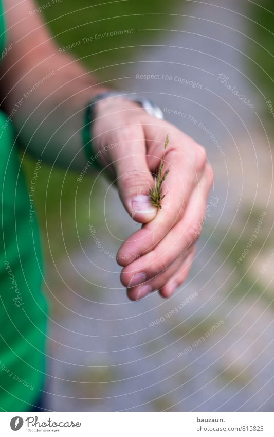 vielen dank. Gesundheit Freizeit & Hobby Ausflug Sommer Mensch maskulin Junger Mann Jugendliche Erwachsene Haut Hand 1 18-30 Jahre 30-45 Jahre Pflanze Gras