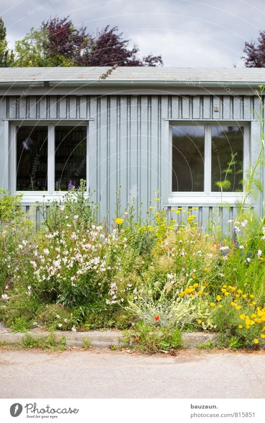 flower power. Wohnung Garten Gartenarbeit Umwelt Natur Pflanze Wetter Schönes Wetter Blume Blüte Wildpflanze Park Wiese Hütte Platz Bauwerk Mauer Wand Fassade