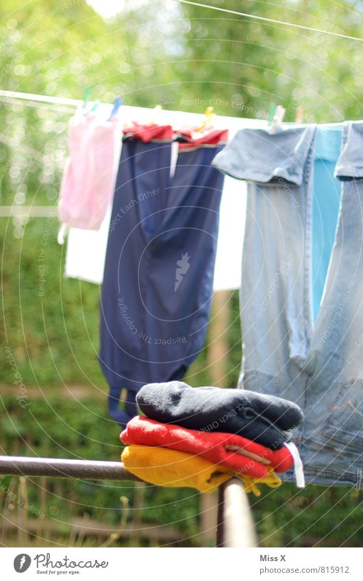 Fußball-Wäschemeister Garten Erfolg Sommer Bekleidung Hose Jeanshose Stoff frisch nass Sauberkeit Gefühle Glück Begeisterung Reinlichkeit Deutsche Flagge