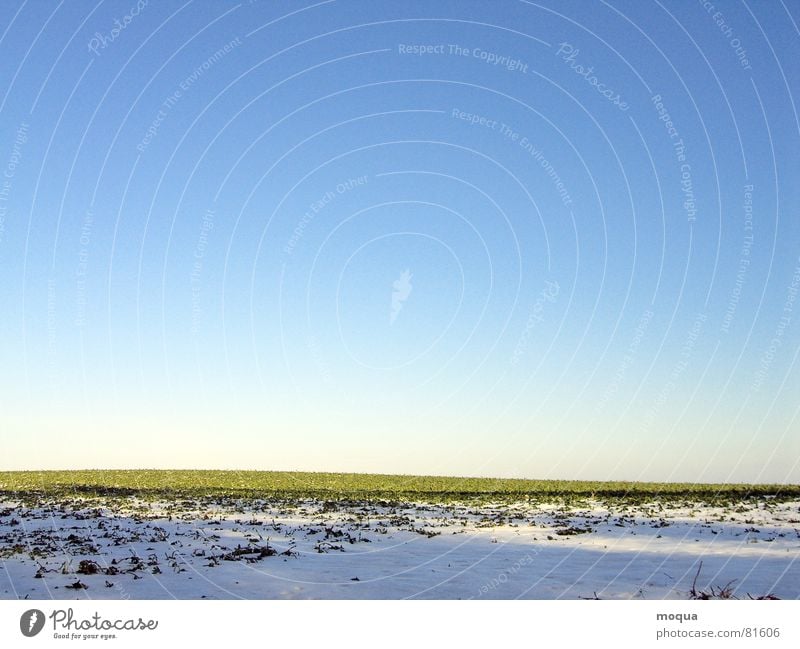 winteracker Fußspur Tauwetter grün Feld Horizont kalt Schatten Verlauf Hügel Frühling Sonne Schneeschmelze Winter verdunkeln Aussicht schön lichtvoll weiß Gras