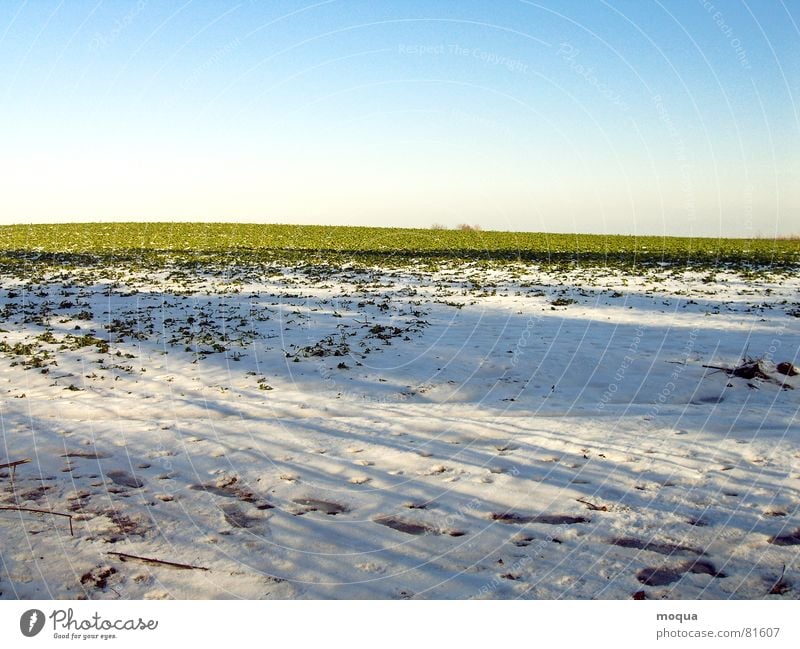 winteracker Fußspur Tauwetter grün Feld Horizont kalt Schatten Verlauf Hügel Frühling Sonne Grünfläche Winter schön lichtvoll verdunkeln Freundlichkeit