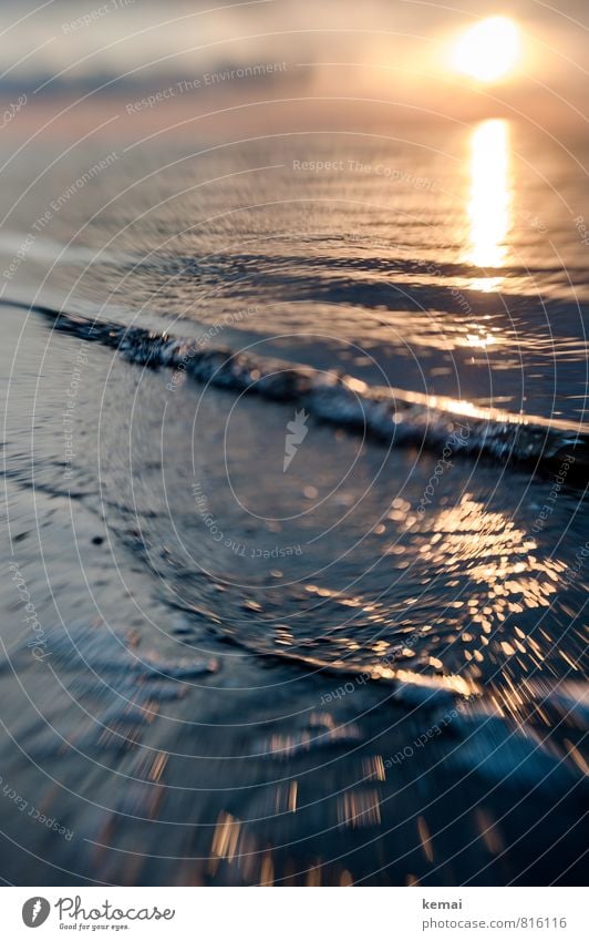 Sonnenfunken Umwelt Natur Urelemente Wasser Himmel Wolken Sonnenaufgang Sonnenuntergang Sonnenlicht Sommer Schönes Wetter Nordsee Meer Wellen außergewöhnlich