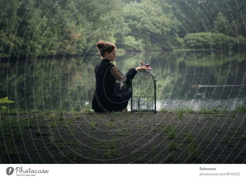 frei Ausflug Ferne Freiheit Mensch feminin Frau Erwachsene 1 Umwelt Natur Park Küste Seeufer Teich Vogel 2 Tier Käfig Vogelkäfig beobachten Tierliebe zart