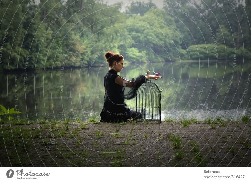 let them go Mensch feminin Frau Erwachsene 1 Umwelt Natur Garten Park Seeufer Flussufer Vogel Vogelkäfig frei Freiheit Farbfoto Außenaufnahme Ganzkörperaufnahme