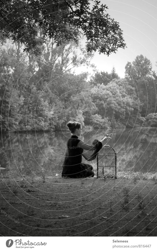 tell me a story harmonisch Wohlgefühl Erholung ruhig Ausflug Ferne Freiheit Mensch feminin Frau Erwachsene 1 Baum Garten Park Küste Seeufer Teich Vogel