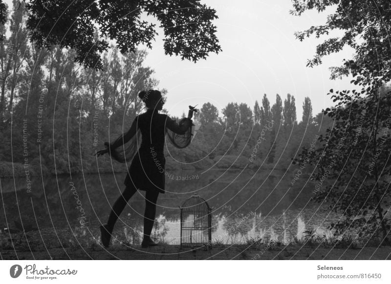 Piep show ruhig Sommer Mensch feminin Frau Erwachsene 1 Umwelt Natur Landschaft Wasser Seeufer Tier beobachten berühren Kommunizieren Vertrauen Sicherheit