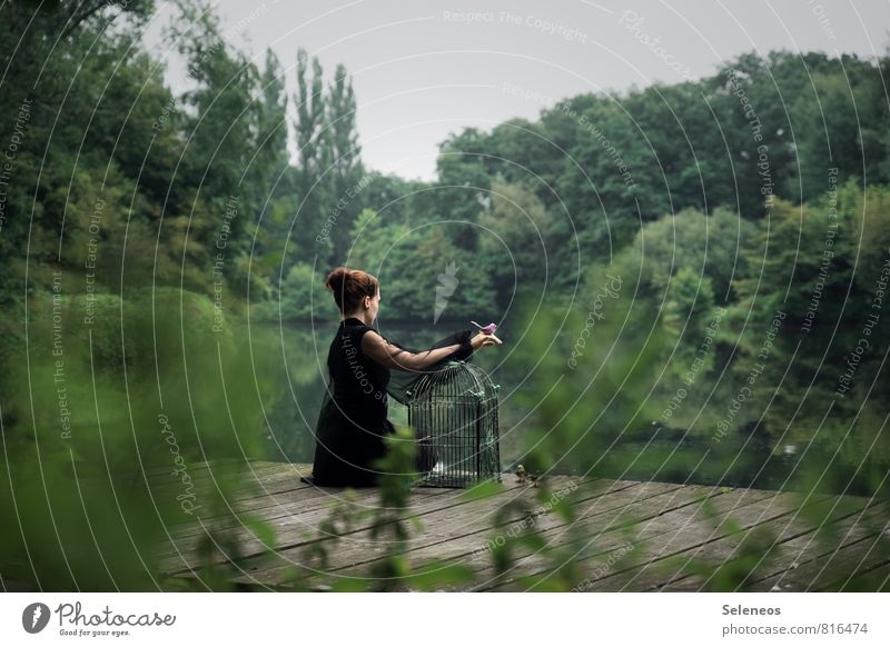 frei sein Ausflug Abenteuer Ferne Freiheit Mensch feminin Frau Erwachsene 1 Umwelt Natur Landschaft Pflanze Baum Sträucher Park Seeufer Flussufer Teich Vogel