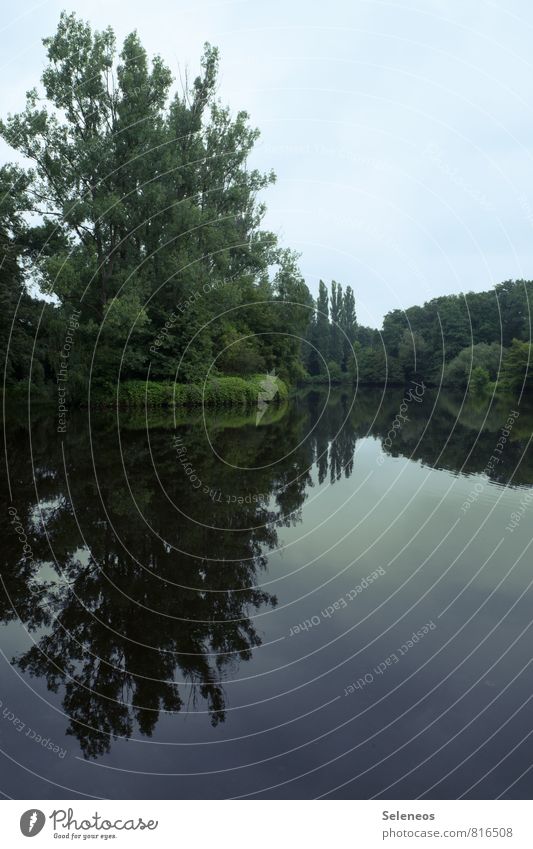 am See Ferien & Urlaub & Reisen Tourismus Sommer Umwelt Natur Landschaft Wasser Himmel Wolkenloser Himmel Horizont Baum Küste Seeufer Flussufer