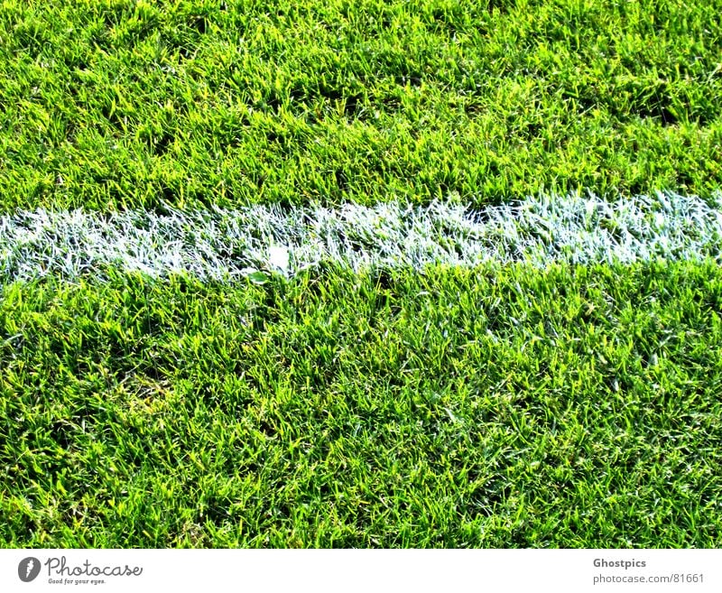 White-Stripe on green Freizeit & Hobby Spielen Fussball Fußballplatz Sommer Sport Sportstätten Stadion Pflanze Gras Garten Park Wiese Feld Linie dreckig