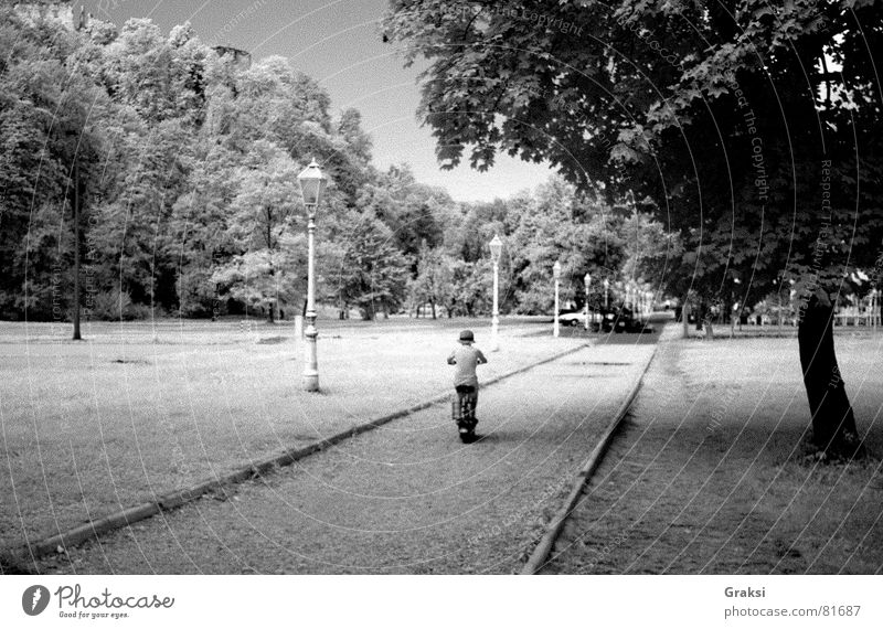 Day as dream Personenzug Park Sommer Länder Frieden infrared path suburban way infrared light dreaming pleasure ground outdoor sport Schwarzweißfoto tree heath