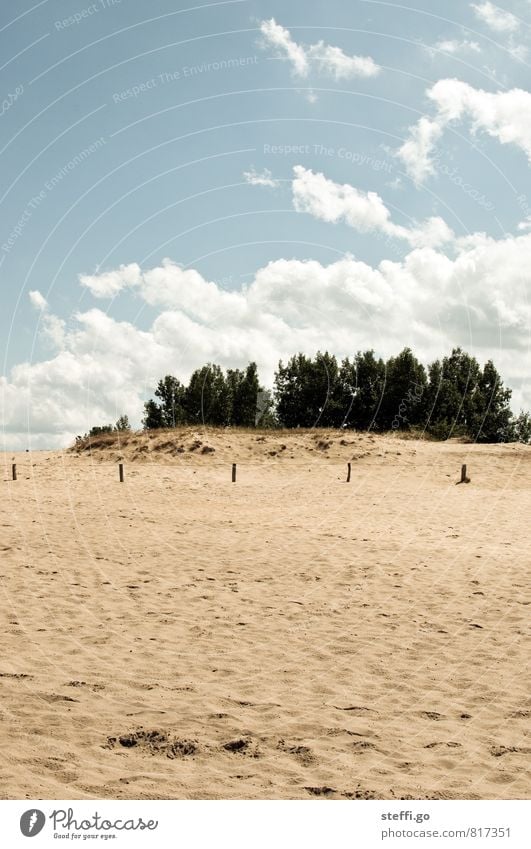 Boberger Dünen Ferien & Urlaub & Reisen Tourismus Ausflug Ferne Freiheit Sommer wandern Landschaft Sand Wolken Wüste Oase entdecken Erholung Gelassenheit ruhig