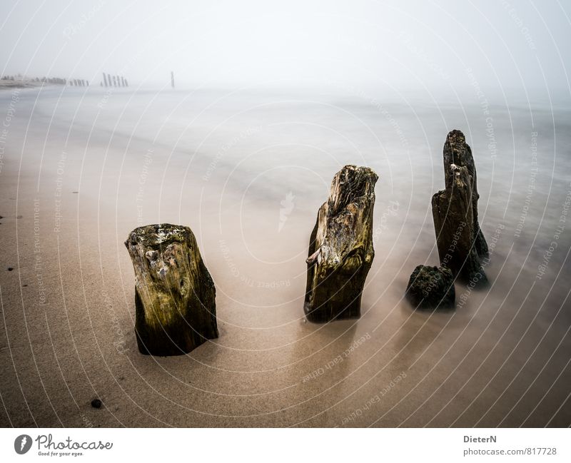 Dunst Strand Meer Sand Frühling Nebel Ostsee blau braun schwarz weiß Kühlungsborn Mecklenburg-Vorpommern Buhne Silhouette Wasseroberfläche Farbfoto Menschenleer