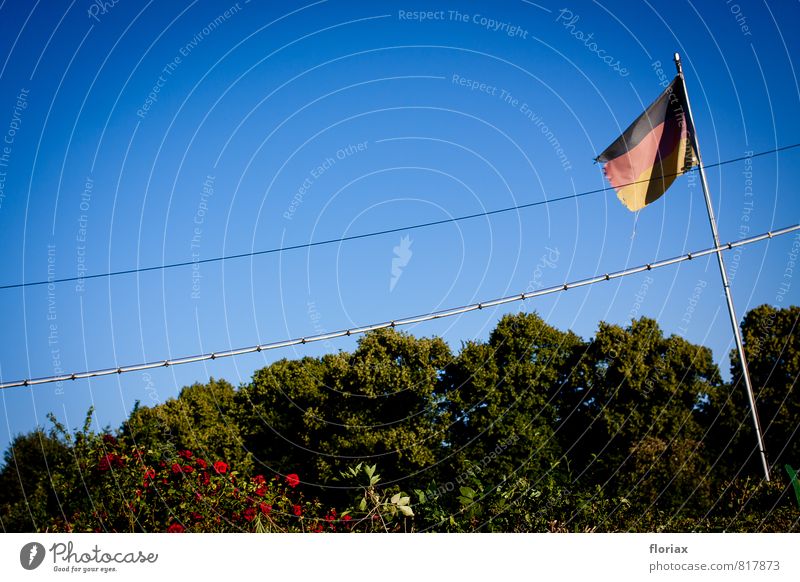 deutsches schrebergartenidyll I/II Sommer Sonne Garten Gartenarbeit Feierabend Natur Sonnenlicht Schönes Wetter Rose Stadt Menschenleer Fahne hängen blau gold