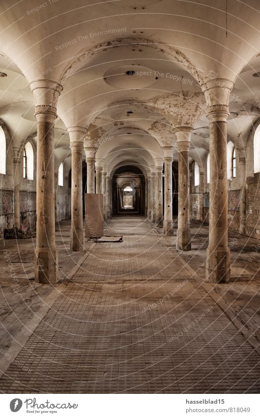 Marstall Reichtum sparen Tourismus Ausflug Abenteuer Expedition Traumhaus Renovieren einrichten Innenarchitektur Raum Handwerker Fabrik Baustelle