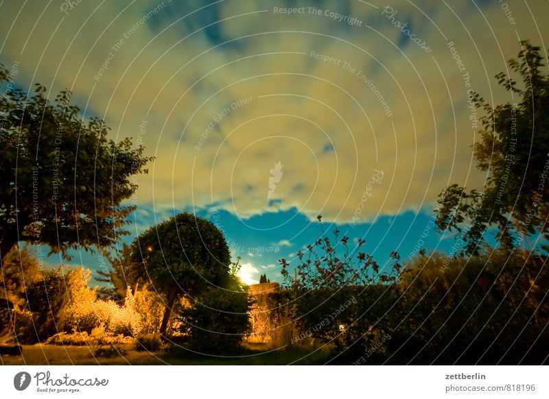 Mondaufgang Garten Schrebergarten Sommer Nacht dunkel Himmel Nachthimmel Wolken Licht Mondschein Vollmond Baum Sträucher Wiese Textfreiraum Abenteuer Märchen