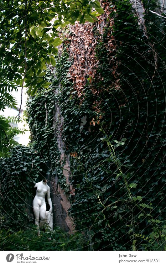 Venus ohne Pelz Subkultur Pflanze Baum Gras Sträucher Efeu Farn Garten ästhetisch Statue Skulptur Akt kopflos subversiv bewachsen Verhext Einsamkeit abblättern