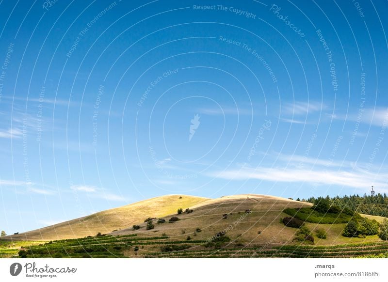 Badberg Tourismus Ausflug Sommer Umwelt Natur Landschaft Himmel Schönes Wetter Sträucher Wiese Hügel ästhetisch natürlich schön Farbe Kaiserstuhl Farbfoto