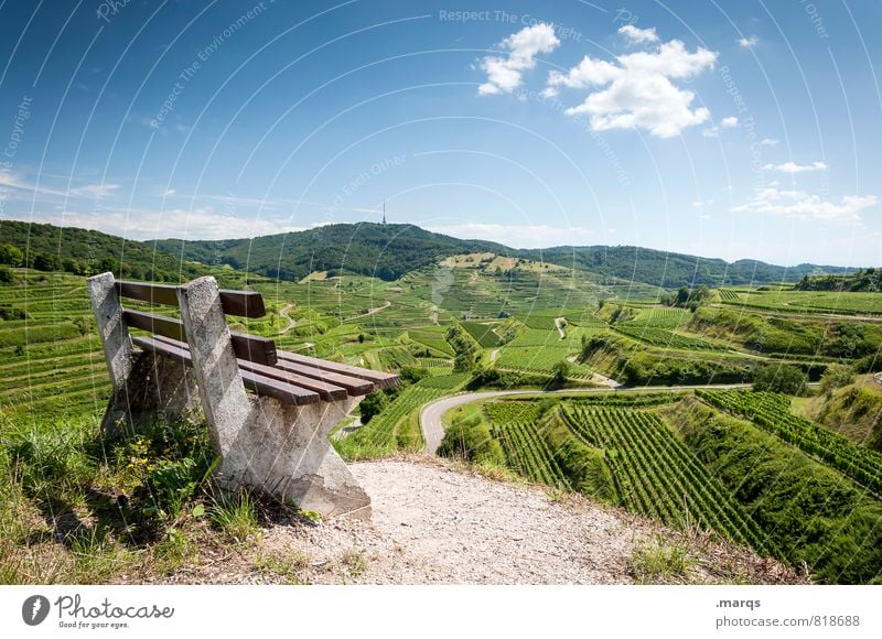 Kaiserwetter Tourismus Ausflug wandern Natur Landschaft Himmel Horizont Sommer Herbst Schönes Wetter Hügel Feld Weinberg Weinbau Bank Zeichen schön Stimmung