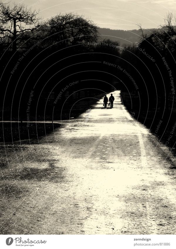 Nach dem Regen 3 Schwarzweißfoto einfallend Licht nass Schatten Reflexion & Spiegelung verdunkeln Promenade Ferne Bürgersteig verloren feucht Allee Fußweg