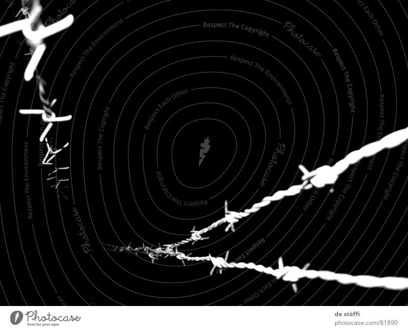 vor meinem Bett dunkel schwarz Nacht gefährlich böse 3 Stacheldrahtzaun aussetzen Angst Panik leer Einsamkeit böse vorahnung bedrohlich Schmerz tief trist