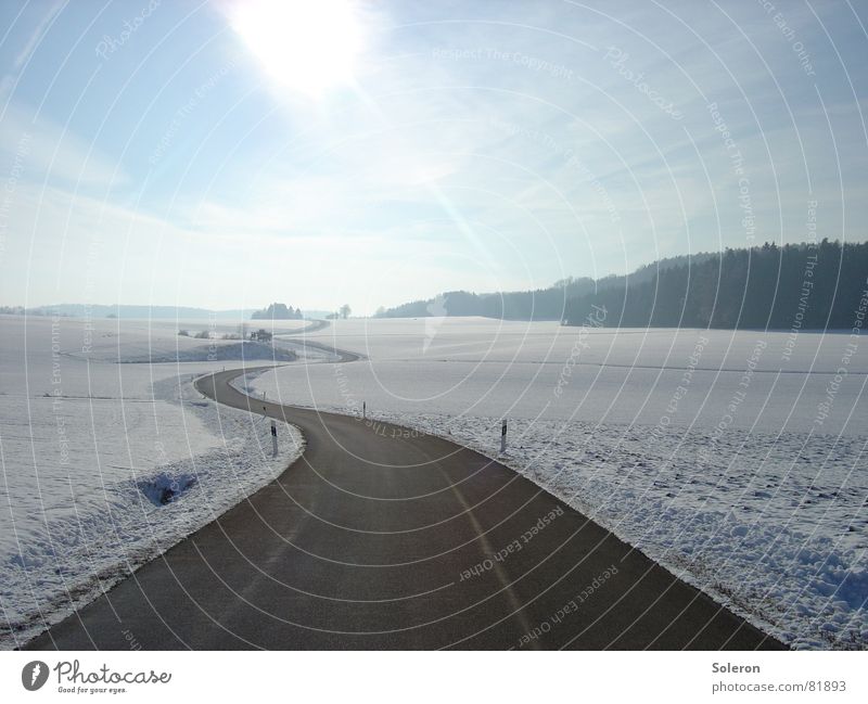 Icetrack Ferne Freiheit Winter Schnee Winterurlaub Natur Landschaft Himmel Eis Frost Baum Wald Verkehr Straße Traurigkeit Unendlichkeit kalt blau Langeweile