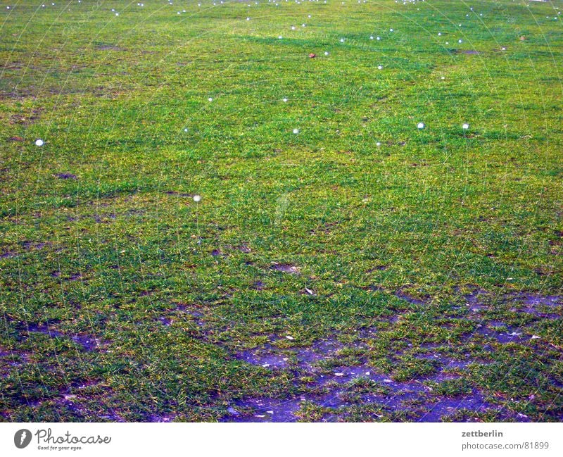 Landbild für carlitos Grundbesitz Gras Wiese grün Grasnarbe Golfball Bürgermeister Weide Gemeindeland Landwirtschaft Grünfläche Ackerbau Dorfwiese Sportrasen 9