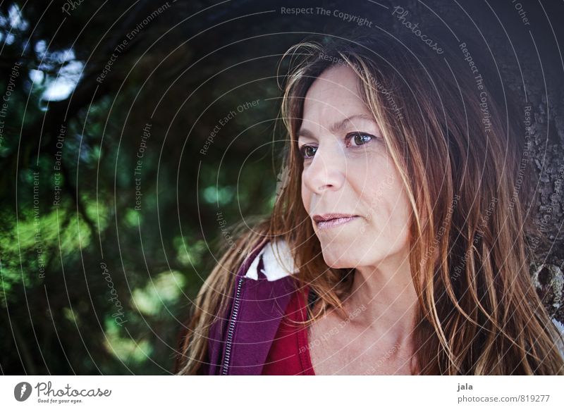 lady s. Mensch feminin Frau Erwachsene Gesicht 1 45-60 Jahre Natur Pflanze Baum Haare & Frisuren brünett blond langhaarig Blick ästhetisch Freundlichkeit schön