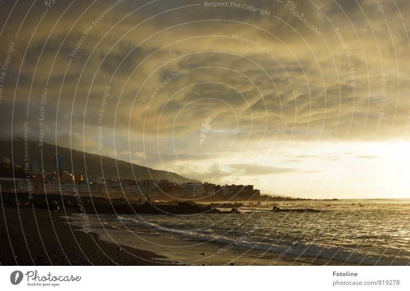 goldener Abend Umwelt Natur Landschaft Urelemente Erde Sand Wasser Himmel Wolken Gewitterwolken Sonnenaufgang Sonnenuntergang Sonnenlicht Sommer Wellen Küste