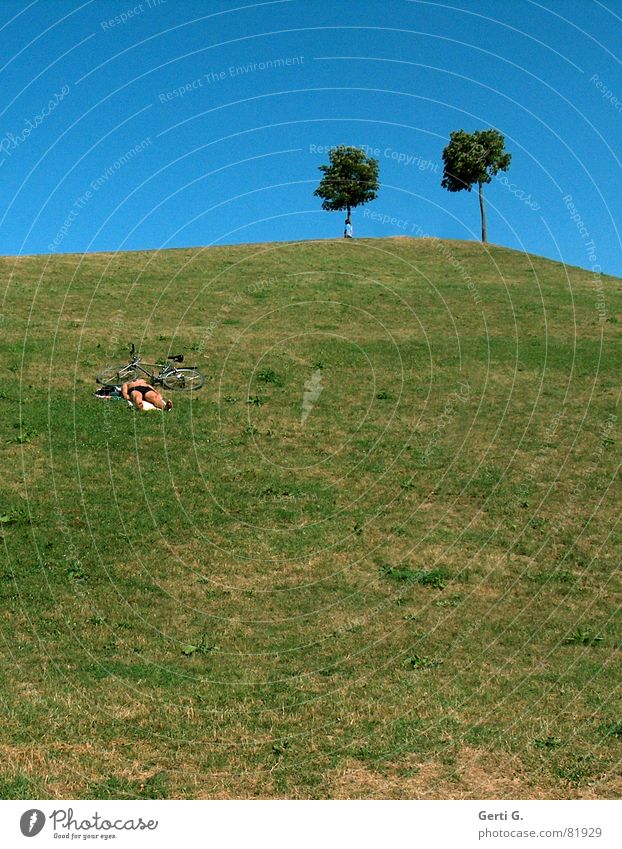 übern Berg Juli Anhäufung Hügel Sommer Haufen Baum 2 Berghang Wiese Platz Erholung Karlsruhe Freude Konzert für umme günther klotz anlage anschüttung das feschd