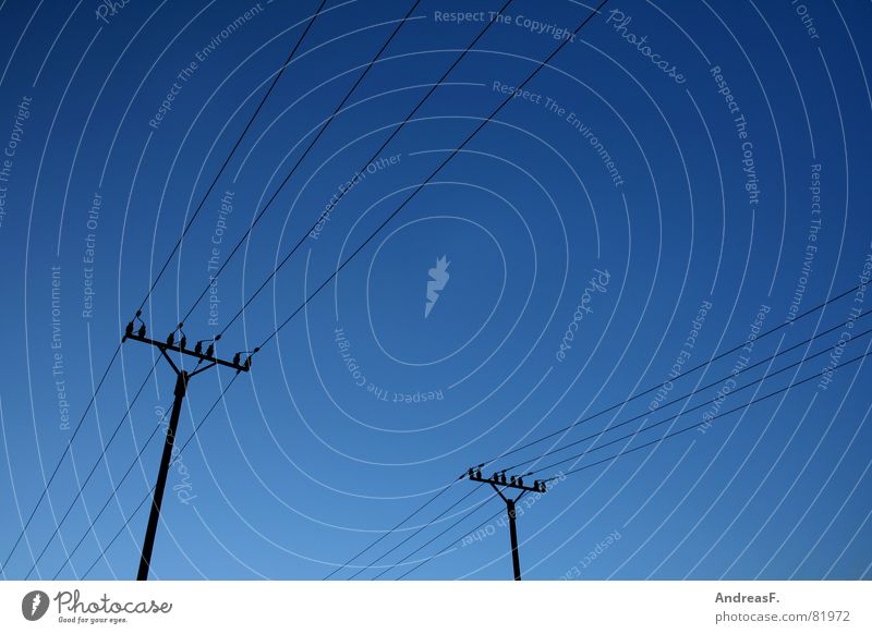 SkyLines Elektrizität Wolken Hochspannungsleitung Strommast Stromverbrauch Energiewirtschaft Stromausfall Kraft elektronisch Industrie Himmel blau Netz Leitung