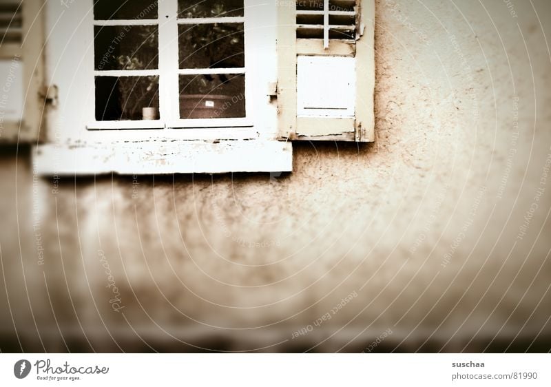 .. kein durchblick wieder heute Splitter Fenster Fensterladen Fensterrahmen Wand Haus Blumentopf Durchblick dunkel Unschärfe Fensterscheibe Fassade Fensterbrett