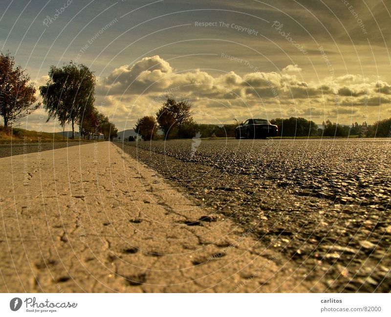 Strassenstrich Asphalt Teer schwarz Linie Allee Baum Horizont Wolken Sommer Grenze Straßenverkehrsordnung Straßenbelag Fahrbahn Sommerloch Landstraße Baumreihe